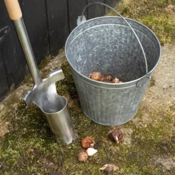 Galvanised Bucket 11 Galvanised Bucket -Cheap Plants Store pr2000031498 card6 lg