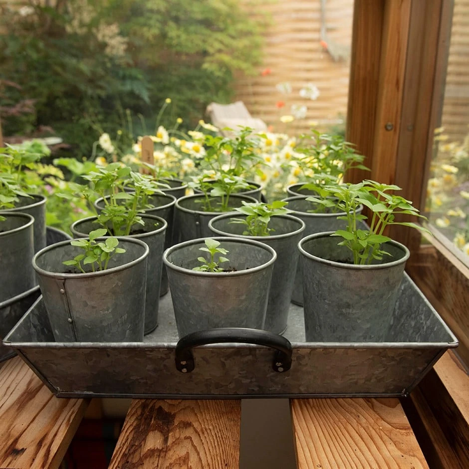 Galvanised Rectangular Tray With Blackened Handles 1 Galvanised Rectangular Tray With Blackened Handles