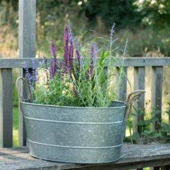 Galvanised Trough For Plants Or Drinks -Cheap Plants Store pr2000031501 card6 lg
