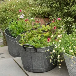 Oval Tub With Handles/drinks Cooler -Cheap Plants Store pr2000031502 card3 lg