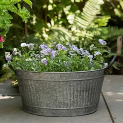 Oval Tub With Handles/drinks Cooler -Cheap Plants Store pr2000031502 card7 lg