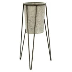 Cheap Plants Store -Cheap Plants Store pr2000031504 card2 lg