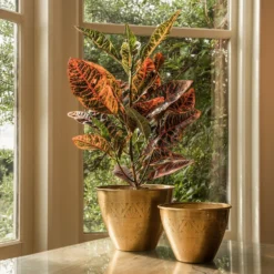 Solid Etched Brass Pot Cover -Cheap Plants Store pr2000031507 card8 lg