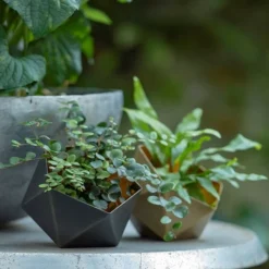 Geo Tealight Holder 19 Geo Tealight Holder -Cheap Plants Store pr2000031511 card10 lg