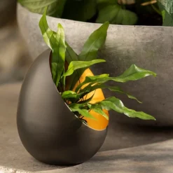 Angled Tealight Holder -Cheap Plants Store pr2000031512 card7 lg