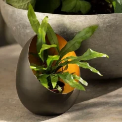 Angled Tealight Holder -Cheap Plants Store pr2000031512 card8 lg