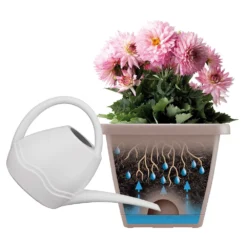 Barcelona All In One Trough Anthracite -Cheap Plants Store pr2000032240 card3 lg