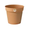 Basic Growpot Terracotta