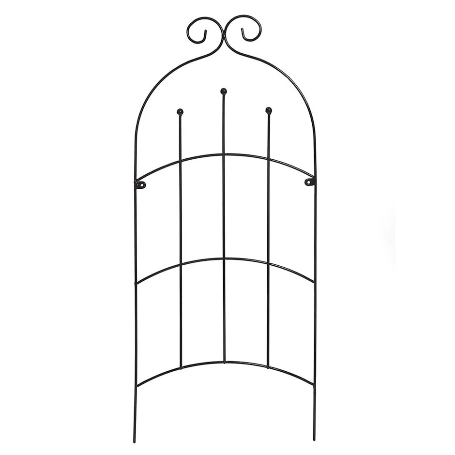 Mimosa Trellis 1 Mimosa Trellis