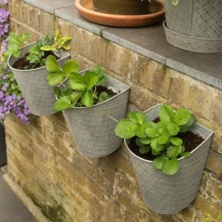 Embossed Wall Planters Antique Zinc - Set Of 3 -Cheap Plants Store pr2000032857 card4 lg