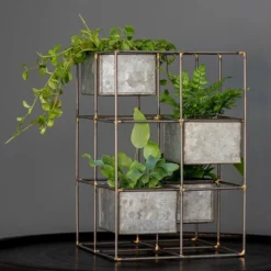 Cheap Plants Store -Cheap Plants Store pr2000033922 card2 lg