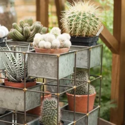 Plant Tower -Cheap Plants Store pr2000033922 card5 lg