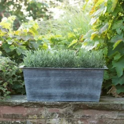 Plant Trough - Aged Zinc -Cheap Plants Store pr2000033930 card5 lg