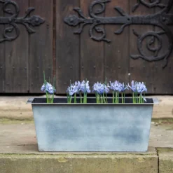 Plant Trough - Aged Zinc -Cheap Plants Store pr2000033930 card7 lg