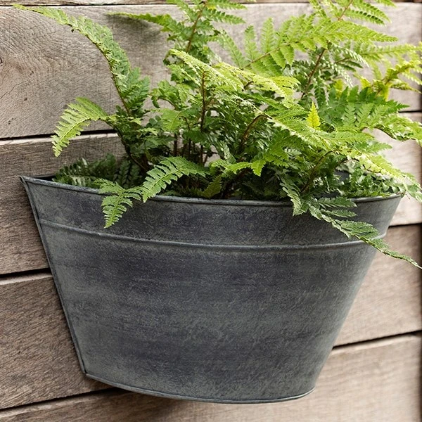 Wall Planter - Aged Zinc 2 Wall Planter - Aged Zinc - Image 2