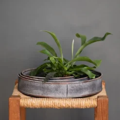 Pot Trays Aged Zinc - Set Of 3 -Cheap Plants Store pr2000033959 card3 lg