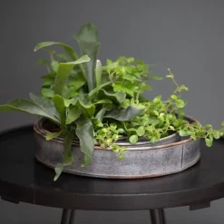 Pot Trays Aged Zinc - Set Of 3 -Cheap Plants Store pr2000033959 card6 lg