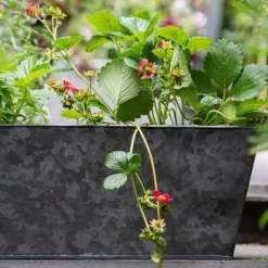 Dark Galvanised Window Trough -Cheap Plants Store pr2000033966 card5 lg