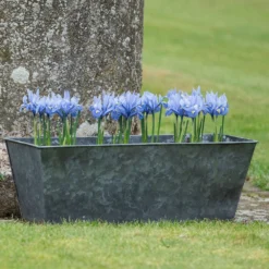 Dark Galvanised Window Trough -Cheap Plants Store pr2000033966 card6 lg