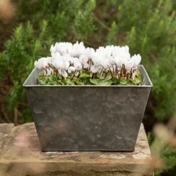 Dark Galvanised Square Planter -Cheap Plants Store pr2000033971 card3 lg