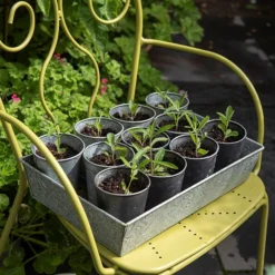 Dark Galvanised Pots - Set Of 6 -Cheap Plants Store pr2000033979 card4 lg