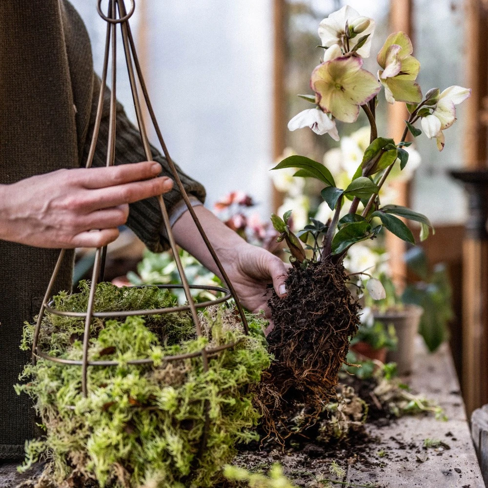Hanging Tear Drop Basket - Slim 2 Hanging Tear Drop Basket - Slim - Image 2