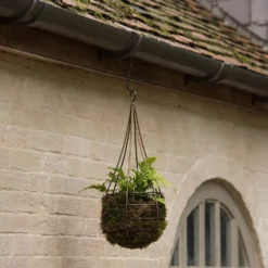 Hanging Tear Drop Basket - Slim 9 Hanging Tear Drop Basket - Slim -Cheap Plants Store pr2000033990 card5 lg