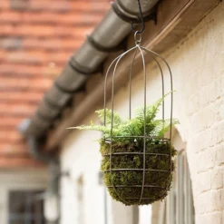 Hanging Plant Cage - Tall -Cheap Plants Store pr2000033992 card3 lg