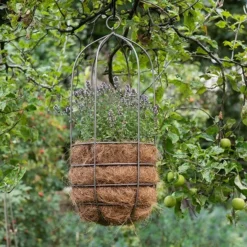 Hanging Plant Cage - Tall -Cheap Plants Store pr2000033992 card4 lg