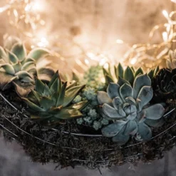 Hanging Wreath Basket -Cheap Plants Store pr2000033995 card3 lg