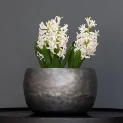 Zinc Bowls - Set Of 3 -Cheap Plants Store pr2000033999 card3 lg