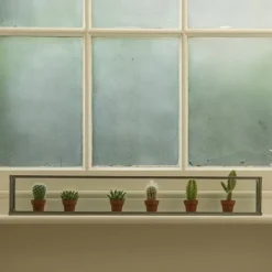 Windowsill Terrarium 5 Windowsill Terrarium -Cheap Plants Store pr2000034004 card3 lg