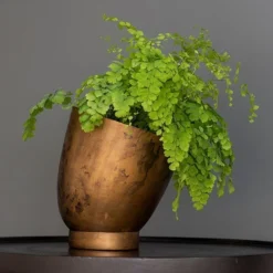 Tilting Pot - Brass -Cheap Plants Store pr2000034009 card4 lg