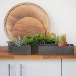 Zinc Wall Planters - Set Of 3 -Cheap Plants Store pr2000034019 card3 lg