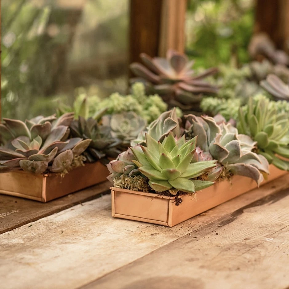 Brushed Copper Tray 1 Brushed Copper Tray