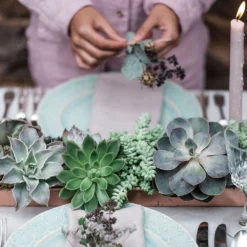 Brushed Copper Tray 9 Brushed Copper Tray -Cheap Plants Store pr2000034036 card3 lg