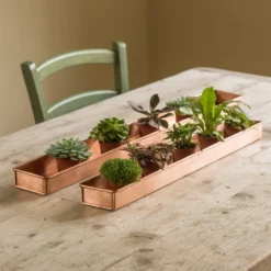 Brushed Copper Tray 12 Brushed Copper Tray -Cheap Plants Store pr2000034036 card6 lg