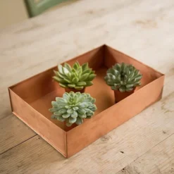 Brushed Copper Seed Tray -Cheap Plants Store pr2000034042 card4 lg