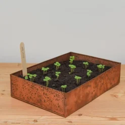 Brushed Copper Seed Tray -Cheap Plants Store pr2000034042 card5 lg