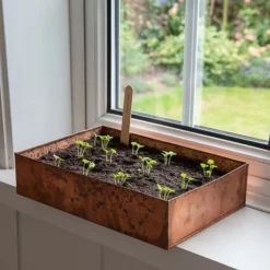 Brushed Copper Seed Tray -Cheap Plants Store pr2000034042 card6 lg