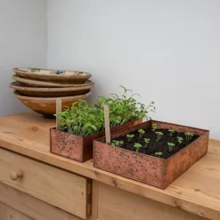 Brushed Copper Seed Tray -Cheap Plants Store pr2000034042 card7 lg