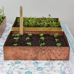 Brushed Copper Seed Tray -Cheap Plants Store pr2000034042 card8 lg