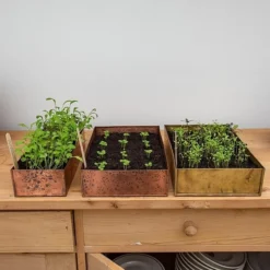 Brushed Copper Seed Tray -Cheap Plants Store pr2000034042 card9 lg