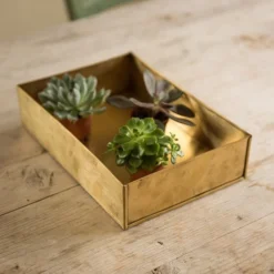 Brushed Brass Seed Tray 14 Brushed Brass Seed Tray -Cheap Plants Store pr2000034043 card6 lg
