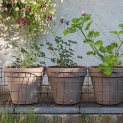 Pot Window Basket -Cheap Plants Store pr2000034049 card3 lg