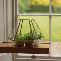 Terrarium With Brass Base Tray -Cheap Plants Store pr2000034059 card3 lg