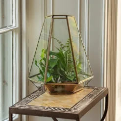 Terrarium With Brass Base Tray -Cheap Plants Store pr2000034059 card4 lg