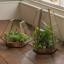 Terrarium With Brass Base Tray -Cheap Plants Store pr2000034059 card6 lg