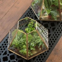 Terrarium With Brass Base Tray -Cheap Plants Store pr2000034059 card7 lg
