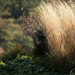 Border Scroll Hook Stake - Large -Cheap Plants Store pr2000034064 card4 lg